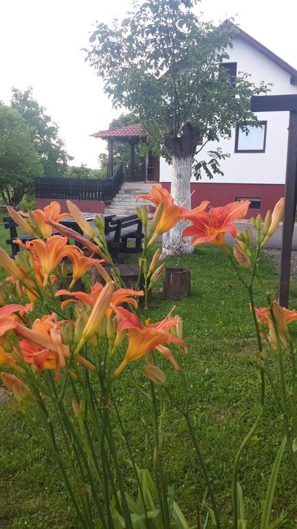 Guest House Antonela Smoljanac Luaran gambar
